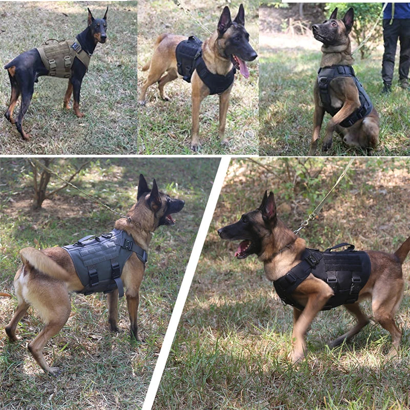 Ultimate Tactical Dog Gear