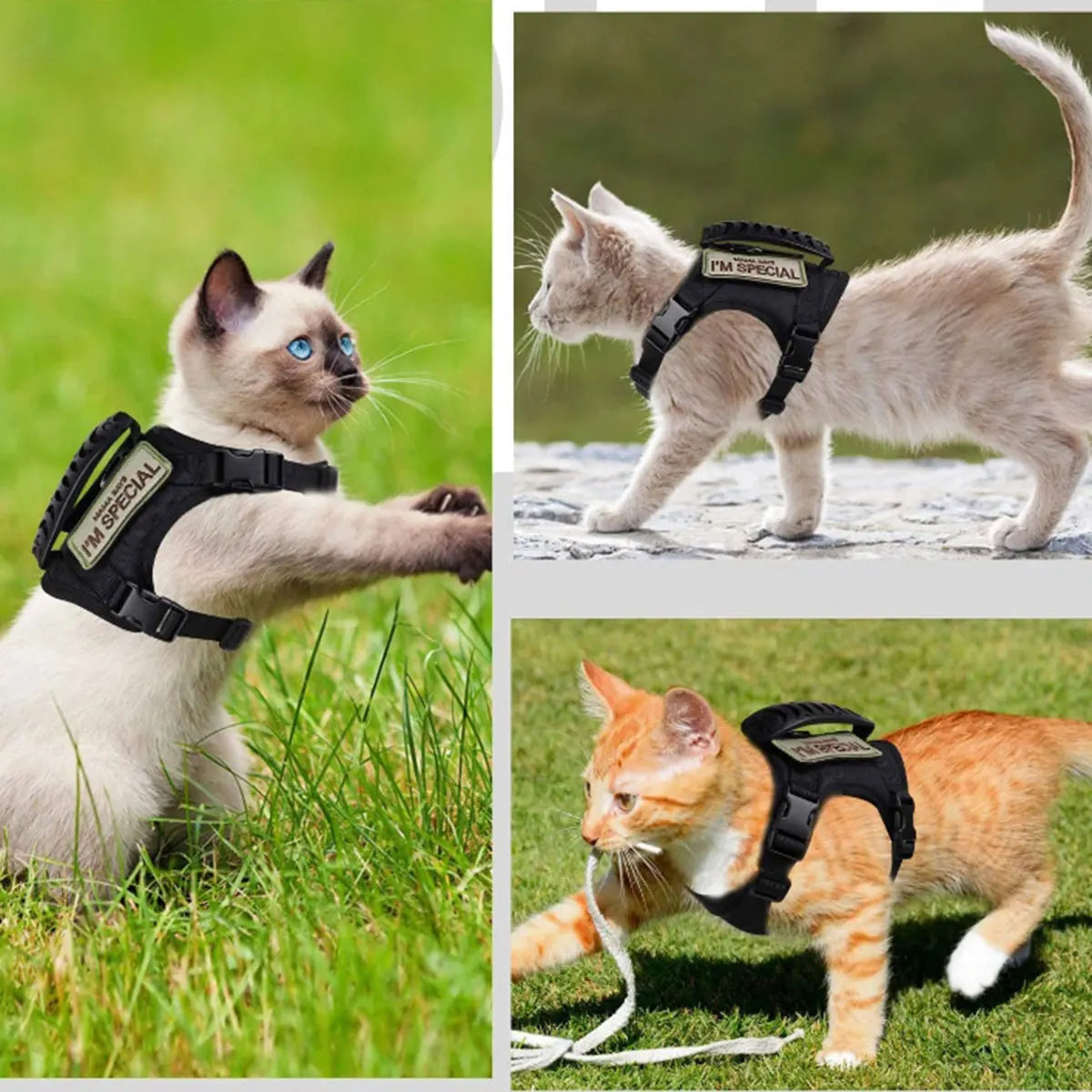 Comfy Cat Adventure Vest