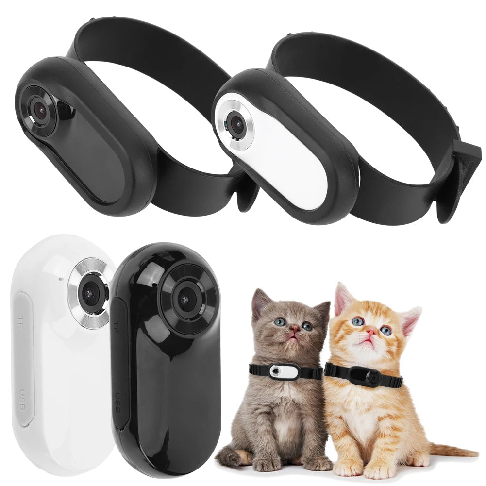 Pet Adventure Collar Cam