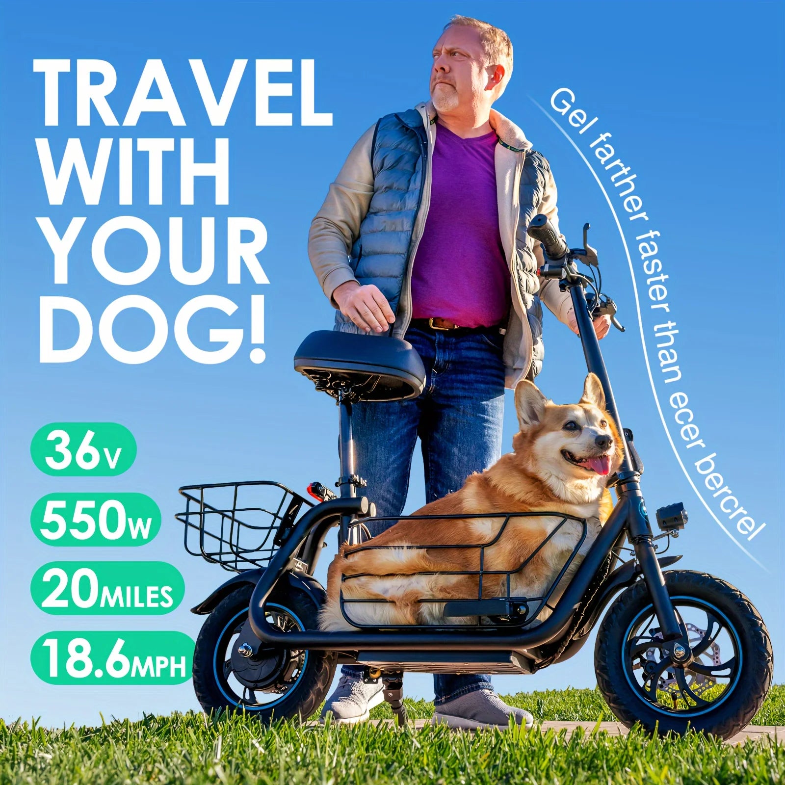 Pet Friendly Electric Scooter