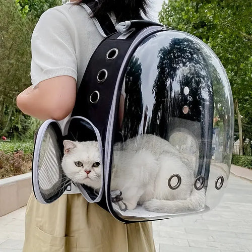 Adventure Cat Backpack