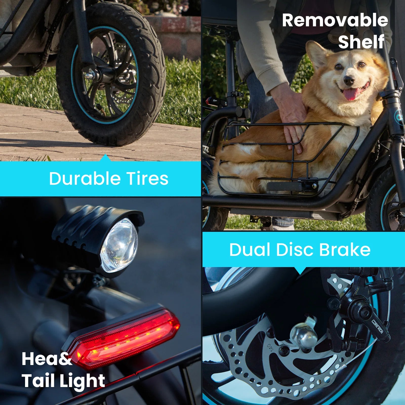 Pet Friendly Electric Scooter