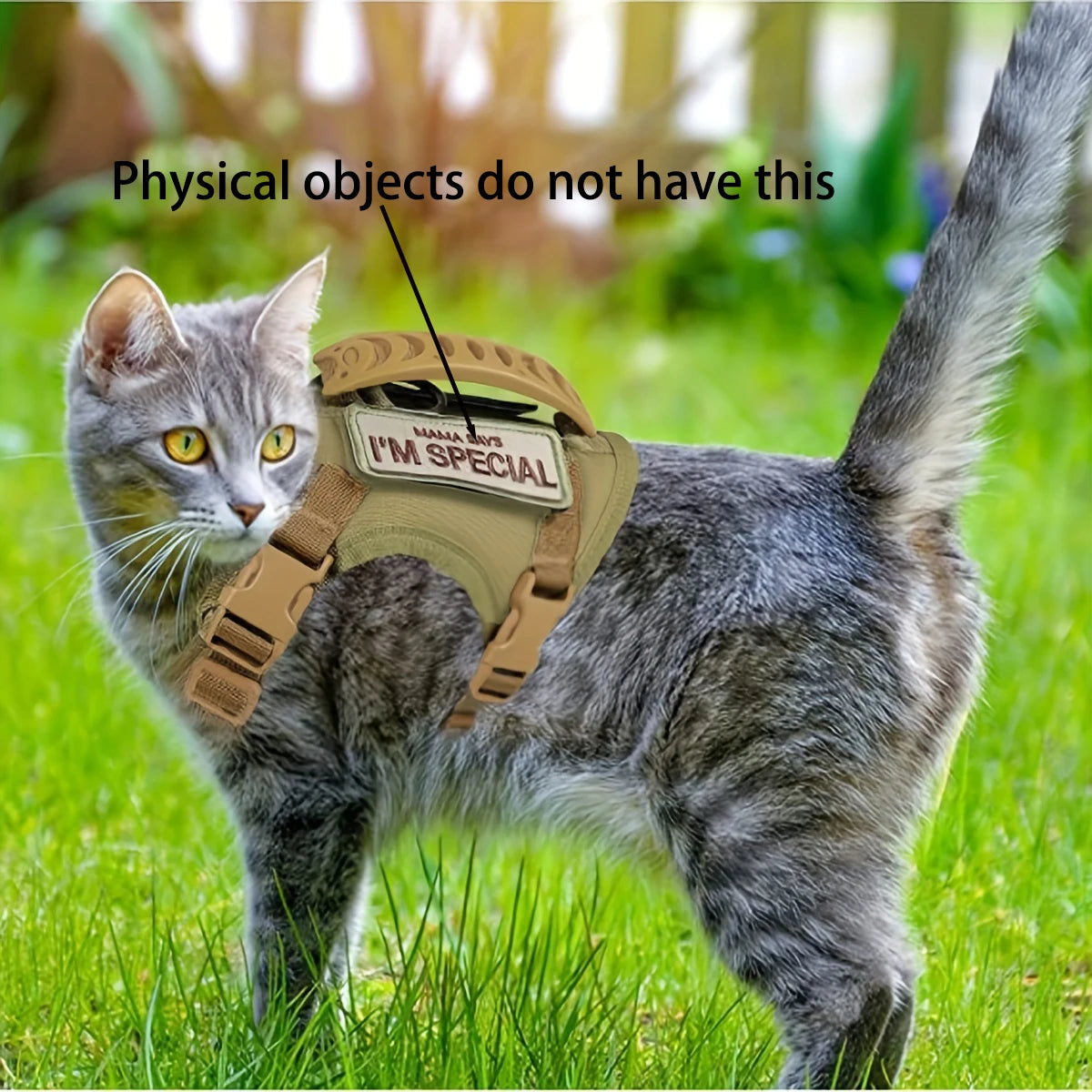 Comfy Cat Adventure Vest