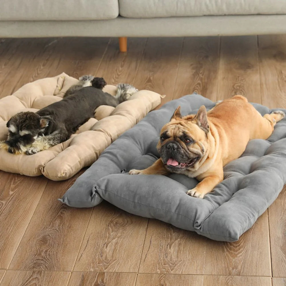 Cozy Canine Comfort Bed