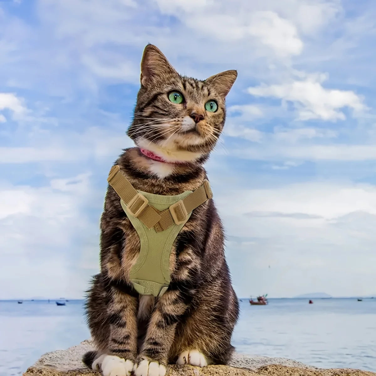 Comfy Cat Adventure Vest