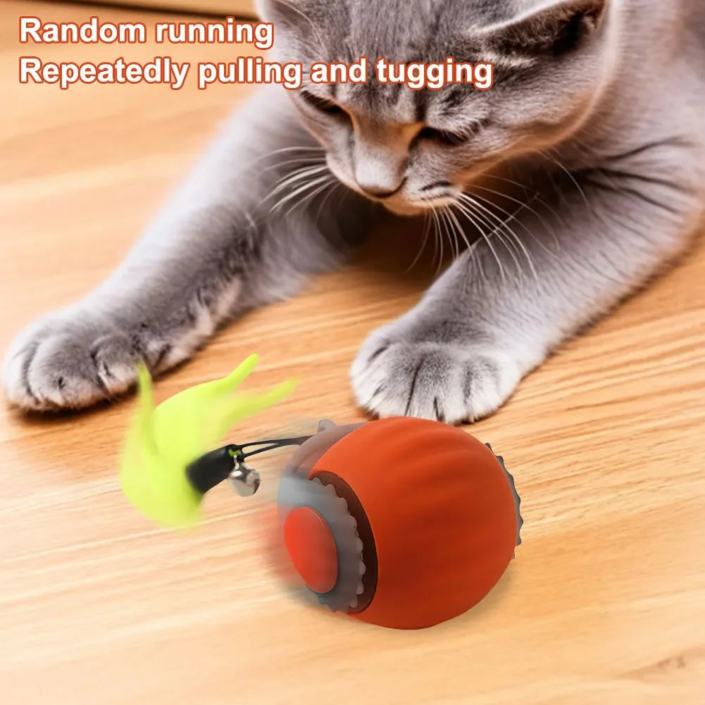 USB Rechargeable Cat Play Ball