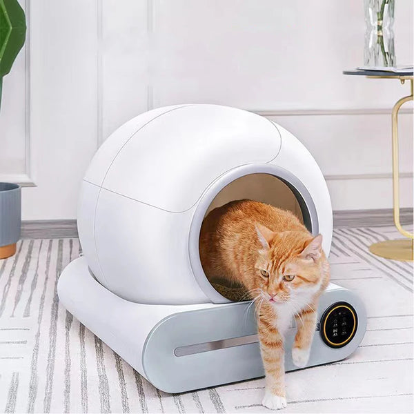 Product placeholder