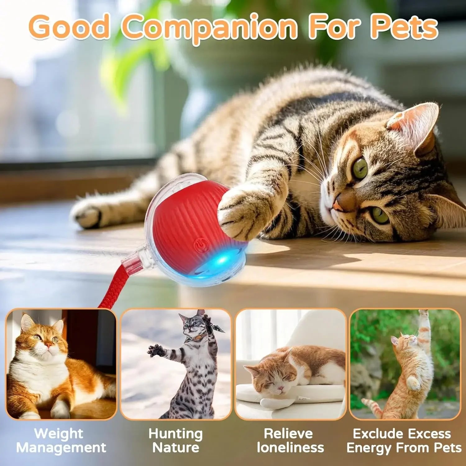 Interactive Pet Play Ball