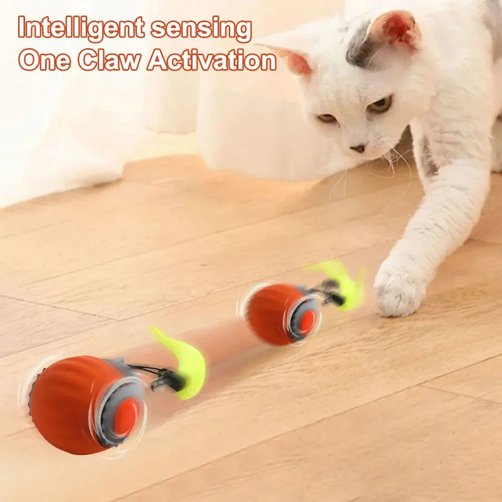 USB Rechargeable Cat Play Ball
